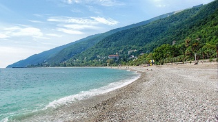 ГК «Примула»