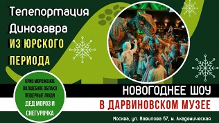Билет на представление