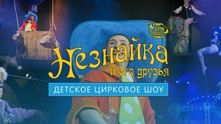 Билет на детское шоу