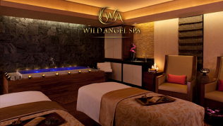 До 7 сеансов массажа в сети SPA-салонов Wild Angel SPA