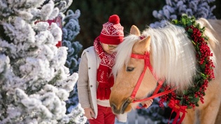 Новогодняя программа