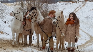 Экскурсия в конный клуб
