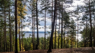 Клуб «Бурная вода»