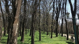 ГК «Жемчужина»