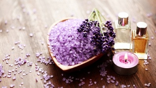 SPA-программа на выбор