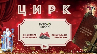 Билет в цирк