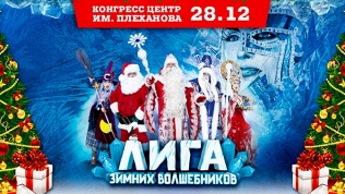 Билет на новогоднее шоу