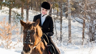 Конная прогулка или прогулка на пони от конного клуба Exhorseclub