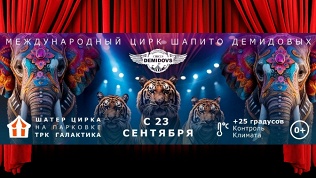 Билет на международное шоу в «Цирке Демидовых» за полцены