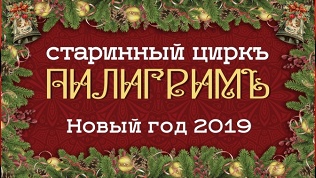 Билет на новогоднее шоу