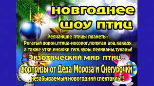Билет на новогоднее шоу
