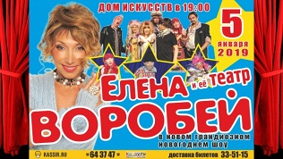 Билет на новогоднее шоу