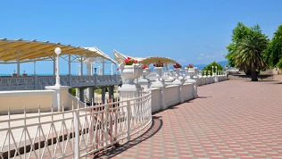 Отель Papaya Park Hotel