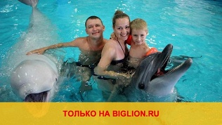 Отель «Дельфин»