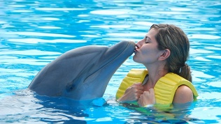 Комплекс Dolphin Planet