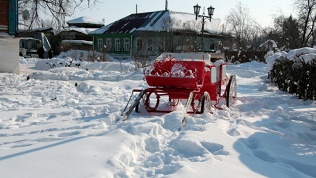 ГД «Вишневый сад»
