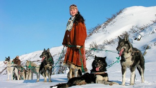 Экскурсия к хаски