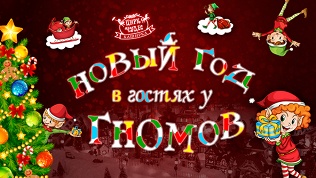 Билет на новогоднее шоу