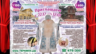 Новогоднее представление