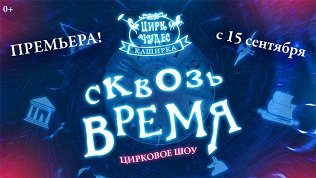 Билет на цирковое шоу