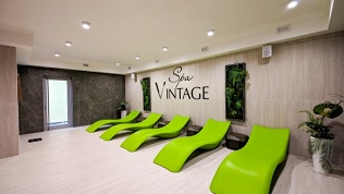 Отдых с завтраками и посещением SPA-зоны в SPA-отеле Vintage