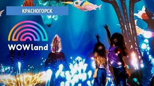 1 или 2 часа свободного посещения парка развлечений Wowland