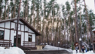 ЗК «Донской лес»