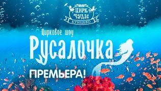 Билет на цирковое шоу