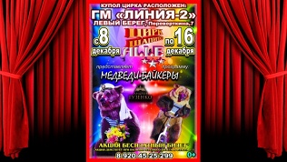 Билет на цирковое шоу