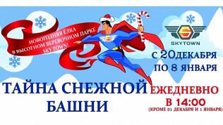 Билет на новогоднюю елку