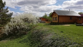 Отдых на берегу реки в окружении леса на базе «Речная Заимка»