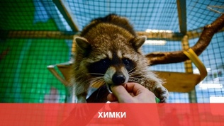 Контактный зоопарк