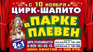 2 билета на цирковое шоу