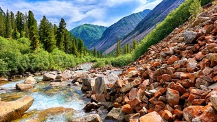 Отдых в поселке Аршан