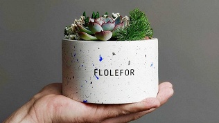 Мастер-класс по созданию флорариумов от компании Flolefor