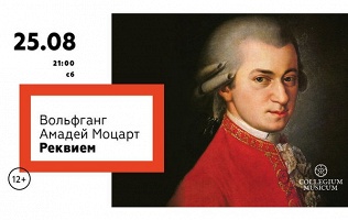 Билет на концерт музыки