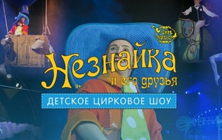 Билет на детское шоу