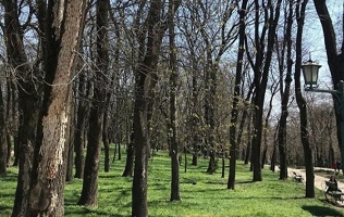 ГК «Жемчужина»