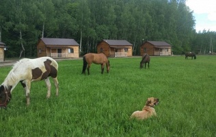 Экопарк «Моя деревня»
