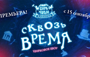 Билет на цирковое шоу