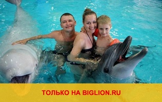 Отель «Дельфин»