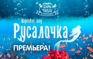 Билет на цирковое шоу