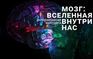Интерактивная выставка