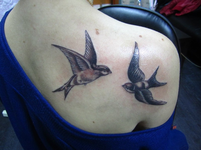 Franklin tatoo fmr