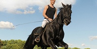 Катание на лошадях, а также обучение верховой езде в конном клубе «Лошадиное царство». <b>Скидка до 61%</b>
