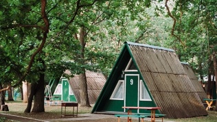 Отдых на берегу реки Волги с питанием, посещением бани на базе «Сашуля»