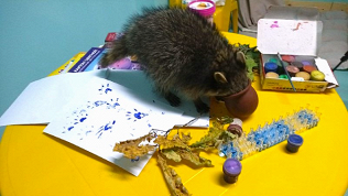 Творческий мастер-класс для детей и взрослых от антикафе «Пушистое счастье»