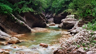 Тур на 1 день «Гуамка-лайт» от туроператора «Не сидим дома»