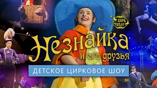 Билет на цирковое шоу