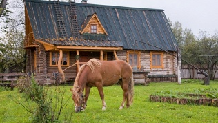 БЗ «Сафари Паркъ»